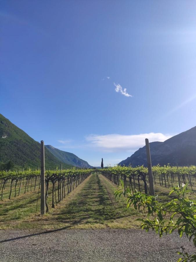 Agriturismo Revena Brentino Belluno エクステリア 写真