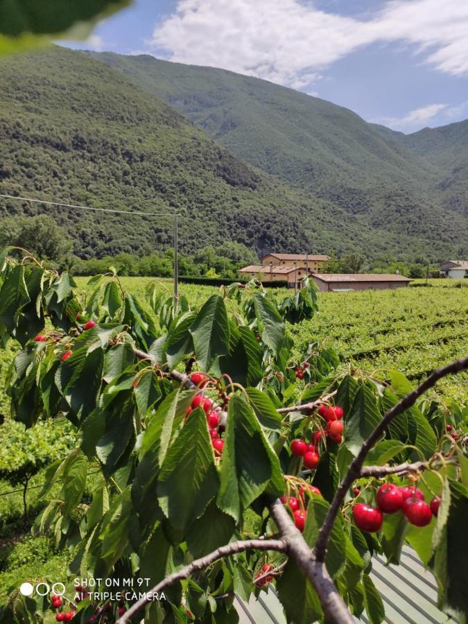 Agriturismo Revena Brentino Belluno エクステリア 写真